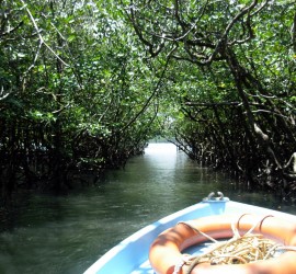 Andaman